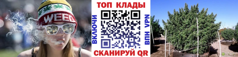 Продажа наркотиков Новая Ляля Галлюциногенные грибы  Бошки Шишки  МЕФ  Гашиш  Кокаин 
